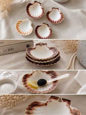 Set of 4 Natural Scallop Caviar Shell Dishes | Coastal Decor | Jewelry Trays